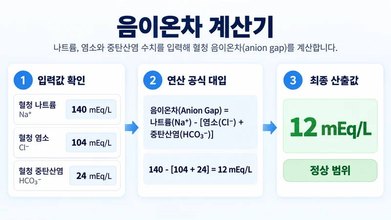 음이온차 계산기 계산 방법 및 공식