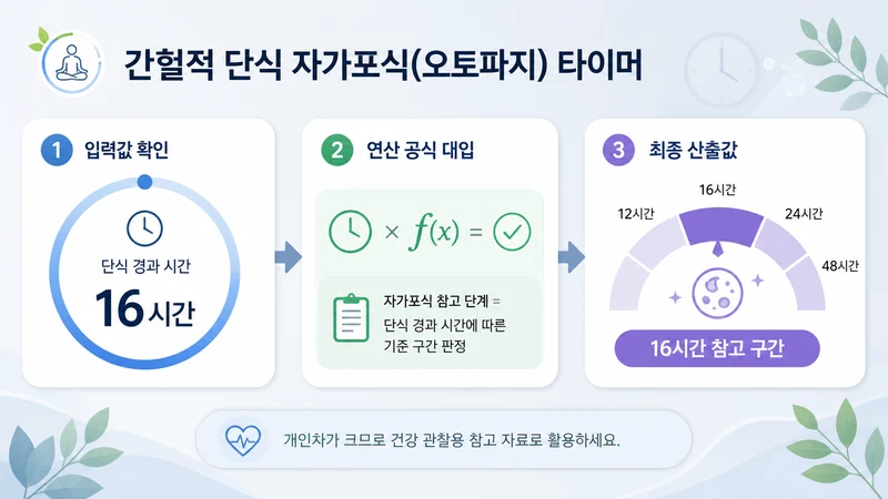 간헐적 단식 자가포식(오토파지) 타이머 계산 방법 및 공식