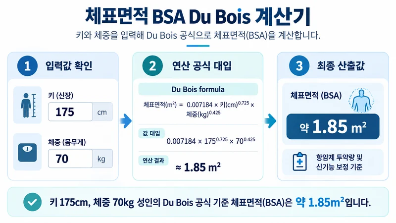 체표면적 BSA Du Bois 계산기 계산 방법 및 공식