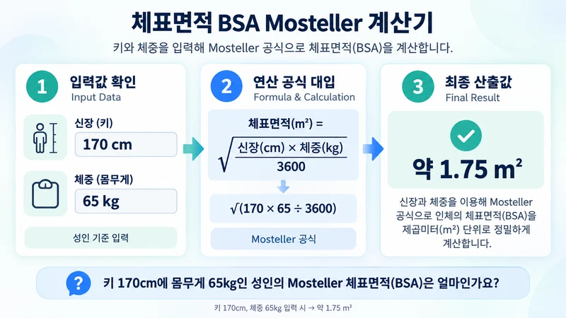 체표면적 BSA Mosteller 계산기 계산 방법 및 공식