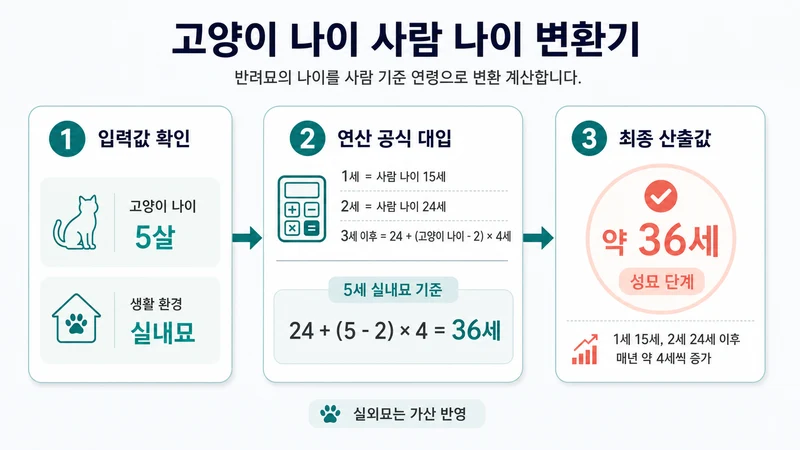 고양이 나이 사람 나이 변환기 계산 방법 및 공식