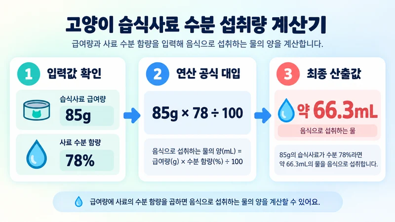 고양이 습식사료 수분 섭취량 계산기 계산 방법 및 공식