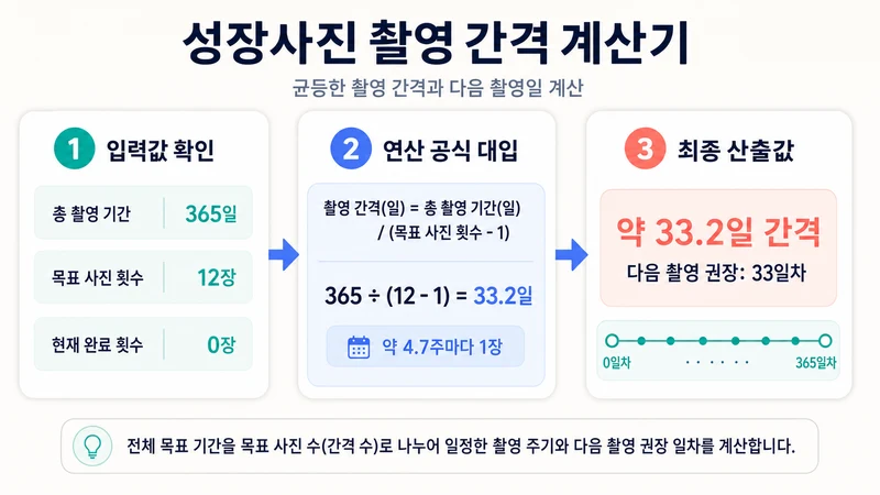 성장사진 촬영 간격 계산기 계산 방법 및 공식