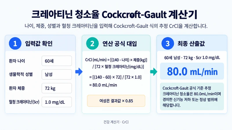 크레아티닌 청소율 Cockcroft-Gault 계산기 계산 방법 및 공식