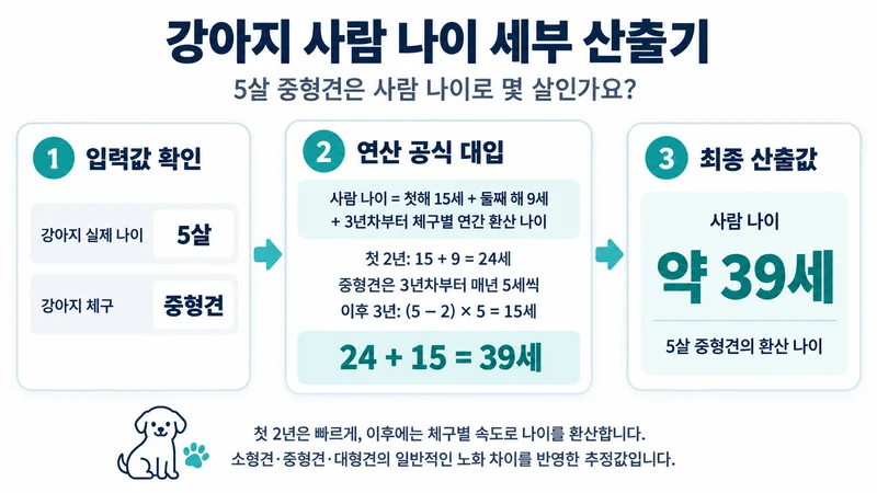 강아지 사람 나이 세부 산출기 계산 방법 및 공식
