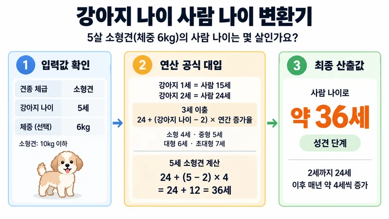 강아지 나이 사람 나이 변환기 계산 방법 및 공식